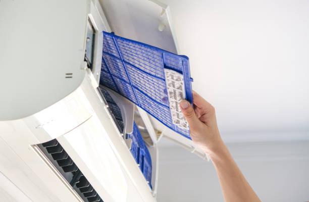 Air Duct Mold Removal in Victory Lakes, NJ